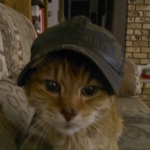 Meet your Posher, Eleanor